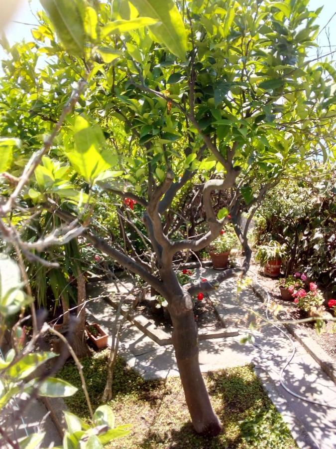 Villino Anna Villa Imperia Dış mekan fotoğraf